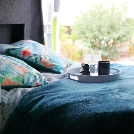 On Road- Feel Freedom With Campervan! Campsite *